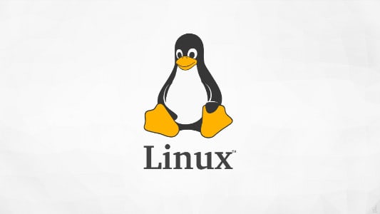 Linux下CD命令进入包含空格路径
